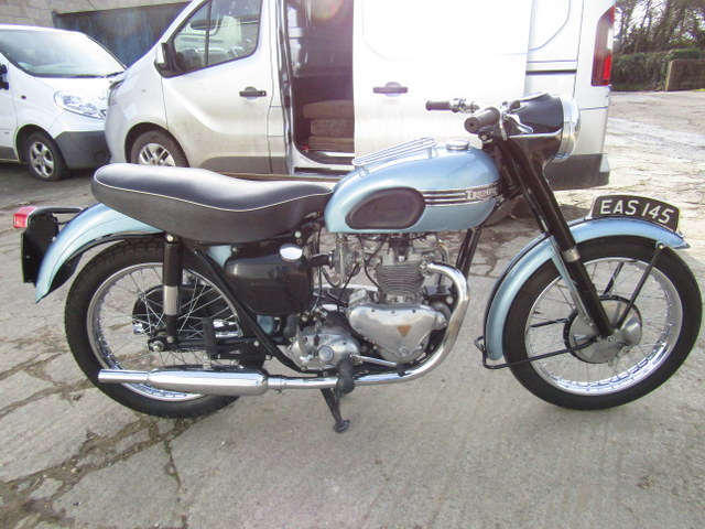 smallest triumph motorcycle