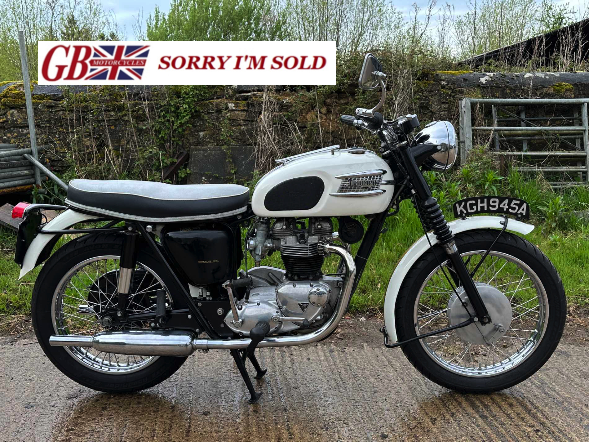 1963 Triumph T120 Bonneville White_sis